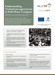 graphical user interface